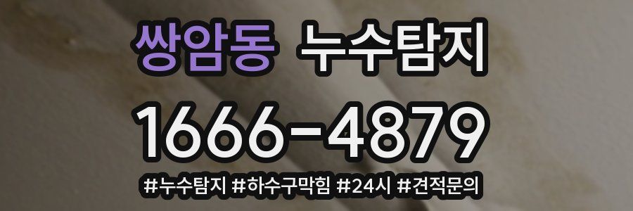 누수닥터 누수탐지