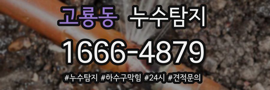 누수닥터 누수탐지