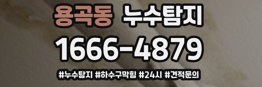 누수닥터 누수탐지