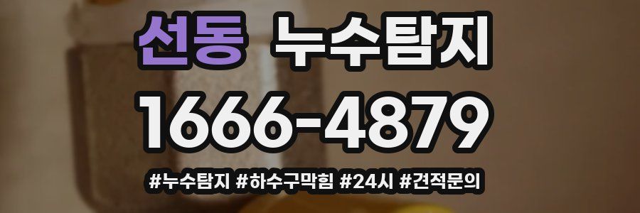 누수닥터 누수탐지