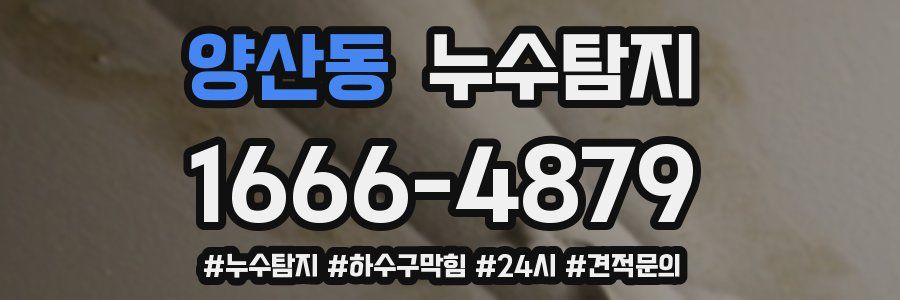 누수닥터 누수탐지