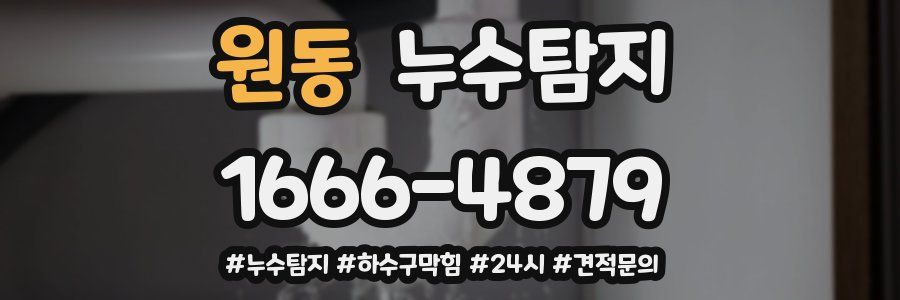 누수닥터 누수탐지