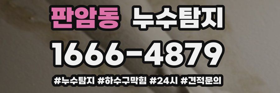 누수닥터 누수탐지