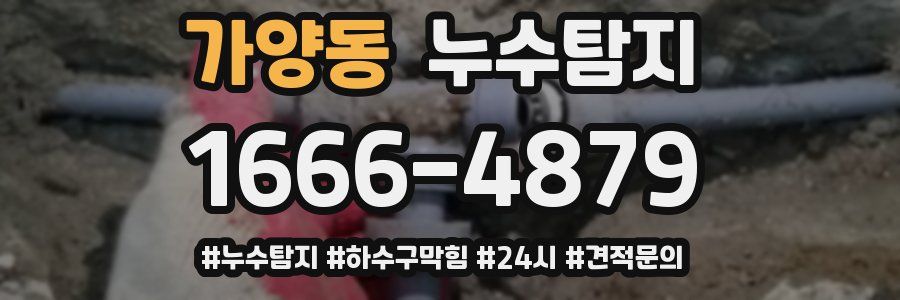 누수닥터 누수탐지