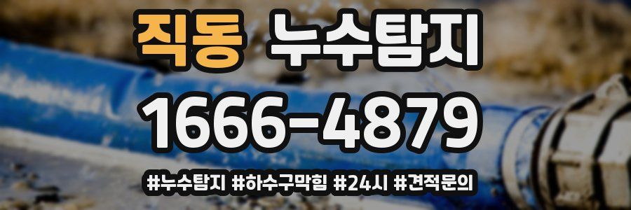 누수닥터 누수탐지