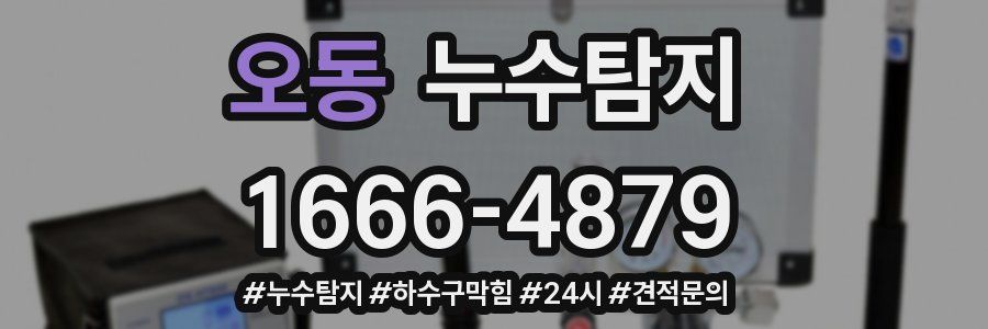 누수닥터 누수탐지