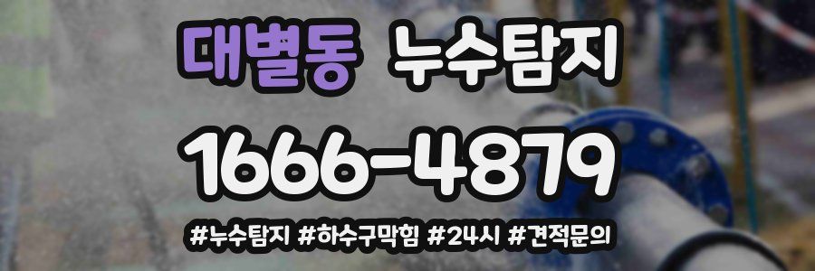 누수닥터 누수탐지