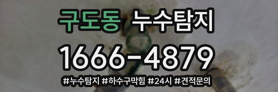 누수닥터 누수탐지