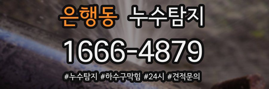누수닥터 누수탐지