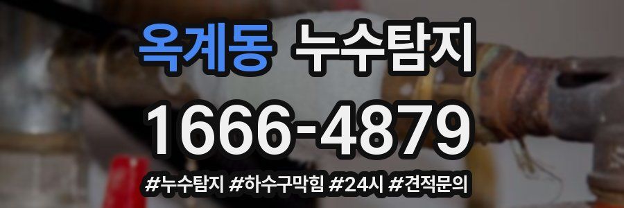 누수닥터 누수탐지