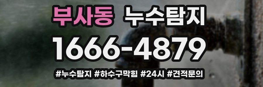 누수닥터 누수탐지