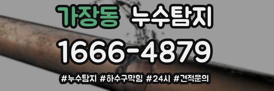 누수닥터 누수탐지