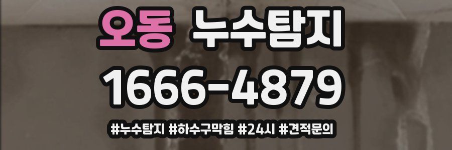 누수닥터 누수탐지