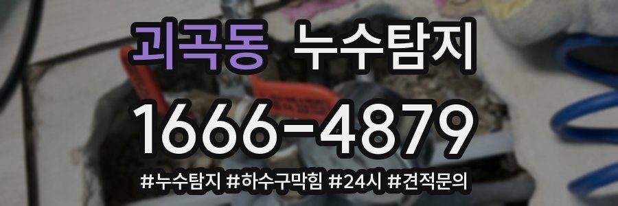 누수닥터 누수탐지