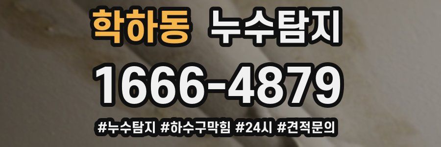 누수닥터 누수탐지