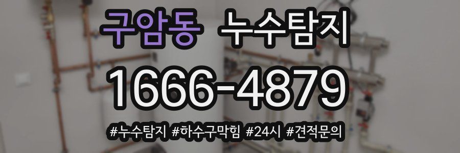 누수닥터 누수탐지