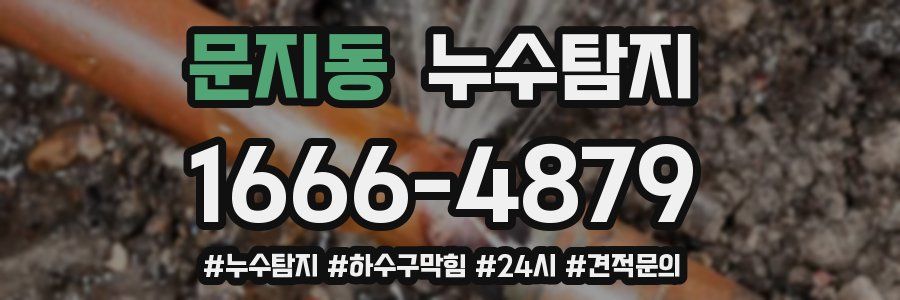 누수닥터 누수탐지