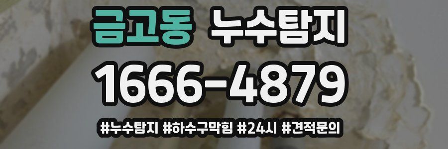 누수닥터 누수탐지