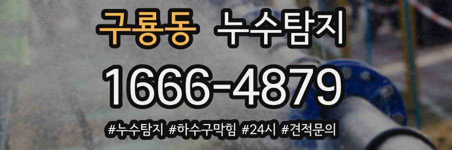 누수닥터 누수탐지