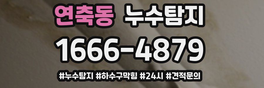 누수닥터 누수탐지