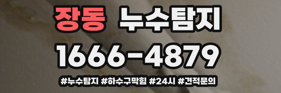 누수닥터 누수탐지