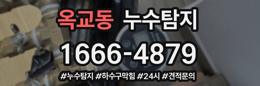 누수닥터 누수탐지