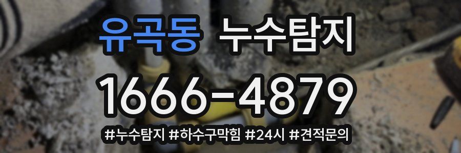 누수닥터 누수탐지