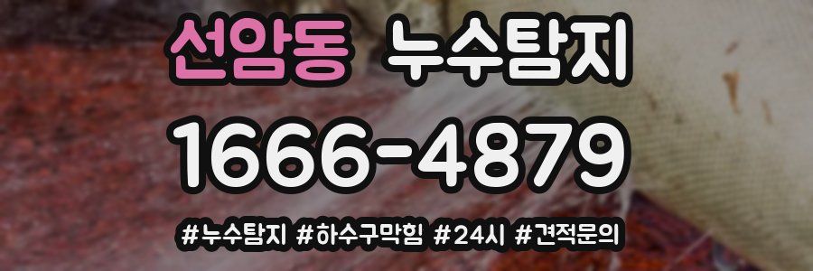 누수닥터 누수탐지