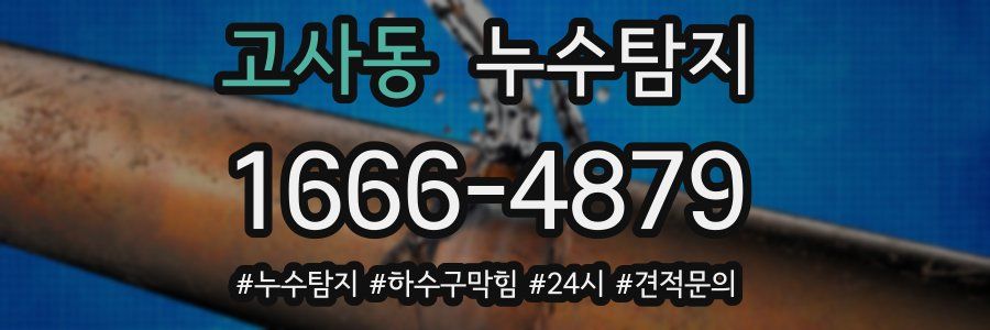 누수닥터 누수탐지