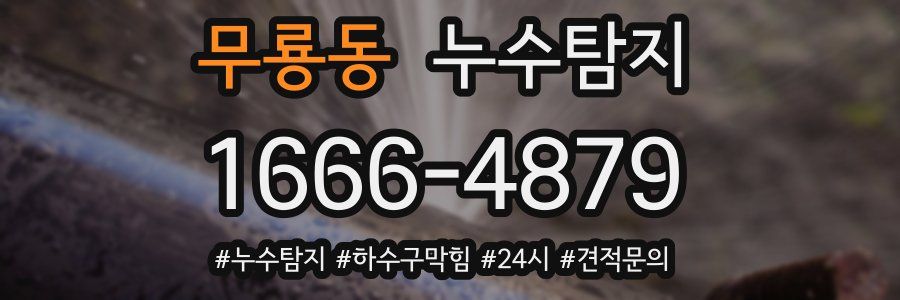 누수닥터 누수탐지