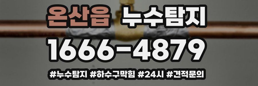 누수닥터 누수탐지