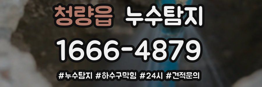 누수닥터 누수탐지