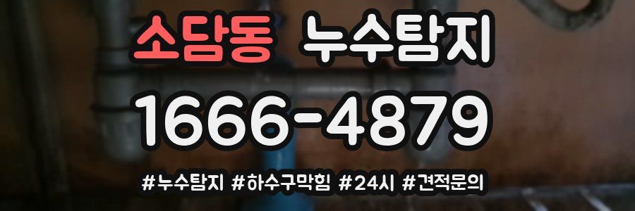 누수닥터 누수탐지