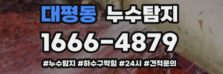 누수닥터 누수탐지