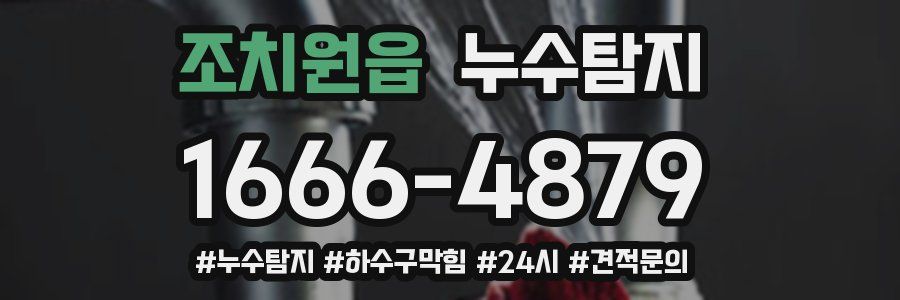 누수닥터 누수탐지