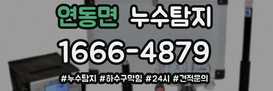 누수닥터 누수탐지