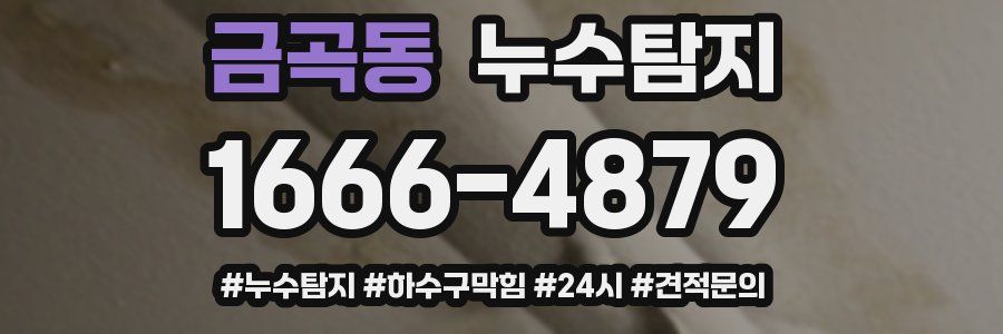 누수닥터 누수탐지