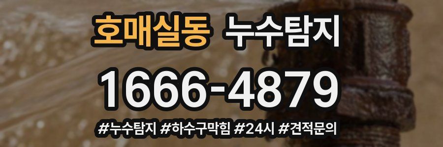누수닥터 누수탐지