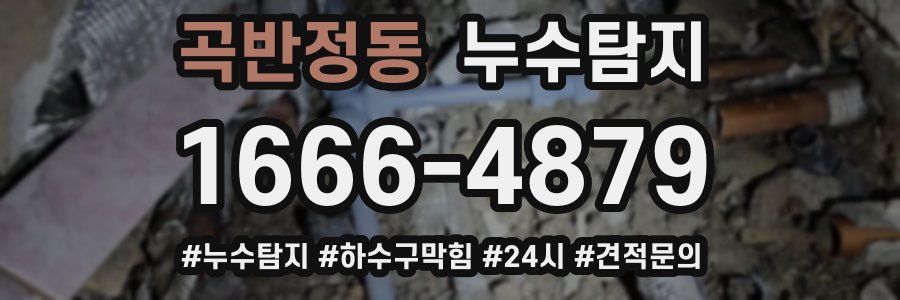 누수닥터 누수탐지
