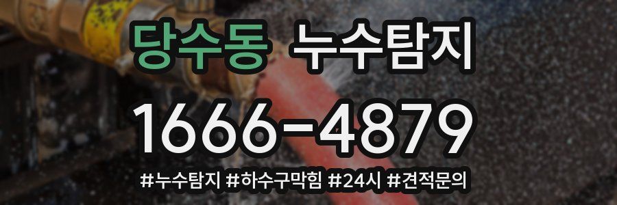 누수닥터 누수탐지
