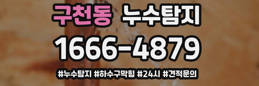 누수닥터 누수탐지