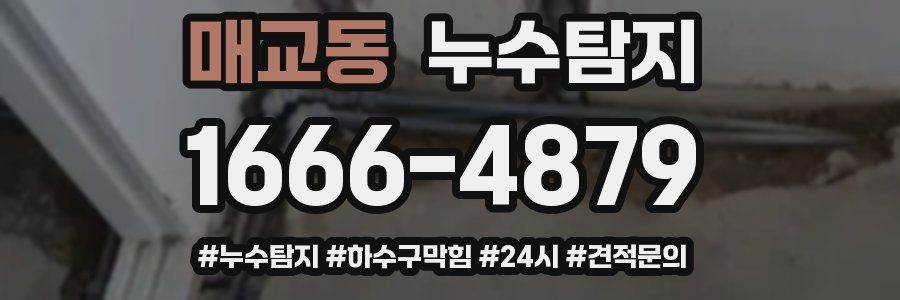 누수닥터 누수탐지