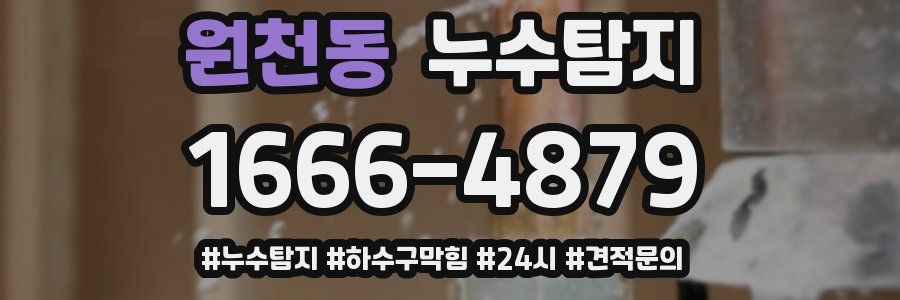 누수닥터 누수탐지