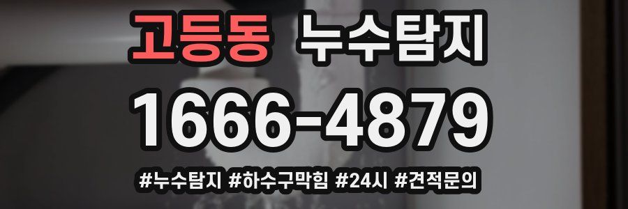 누수닥터 누수탐지