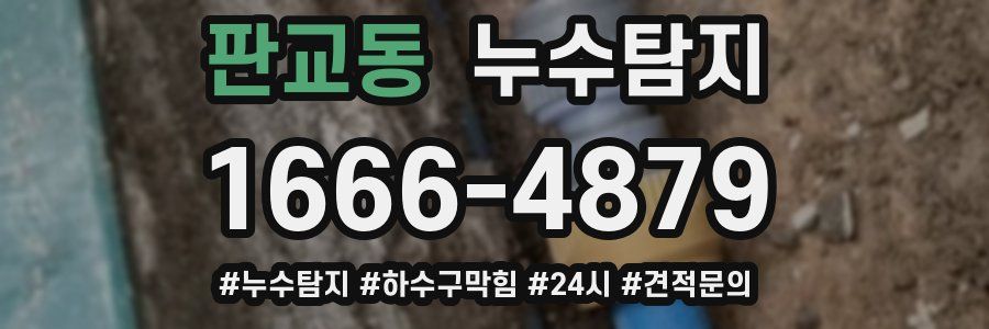 누수닥터 누수탐지
