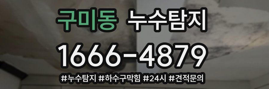 누수닥터 누수탐지