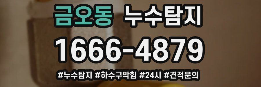 누수닥터 누수탐지