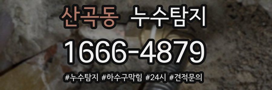 누수닥터 누수탐지