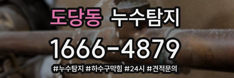 누수닥터 누수탐지