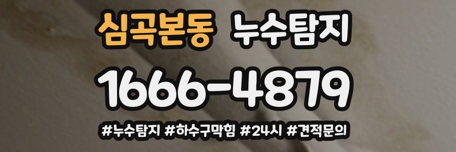 누수닥터 누수탐지